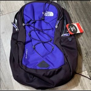 The North Face Jester Backpack Purple